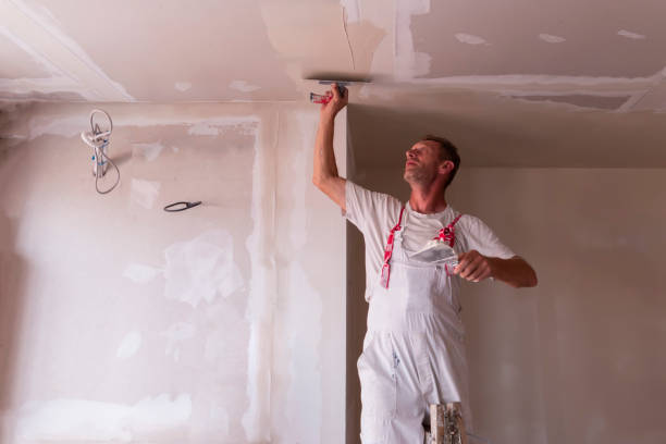 Best Water-Damaged Drywall Repair  in Mifflinburg, PA